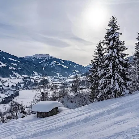 Haus Tauernblick 3 Und 4 Διαμέρισμα *